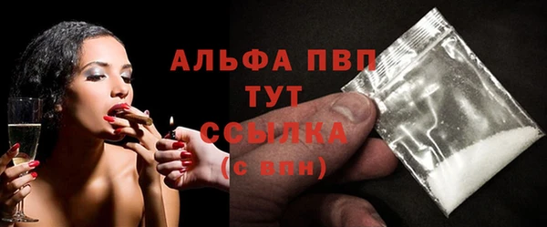 эйфоретик Бородино