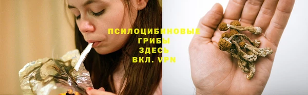 а пвп мука Богданович