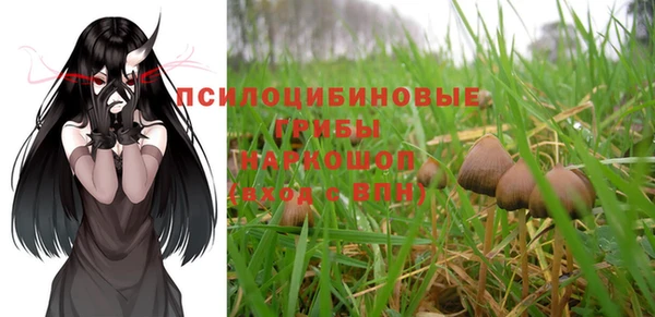 а пвп мука Богданович