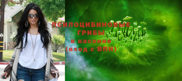 сатива Бронницы