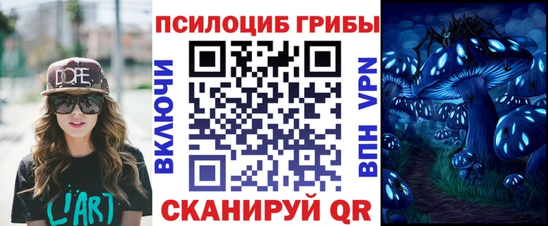 Галлюциногенные грибы мицелий  Ставрополь 