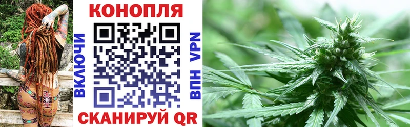 Конопля ГИДРОПОН  Ставрополь 